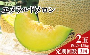 メロン 定期便 2回 夜須のエメラルドメロン 2玉 テレビ朝日「ザワつく!金曜日」で特集 紹介 くだもの フルーツ ギフト マスクメロン 青肉 ブランド ギフト 贈答用 ご褒美 高級 1個 お礼 御祝 産地直送 JA 高知県農業協同組合 香南市 常温 Wyu-0033
