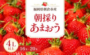 いちご 朝倉市産 あまおう 4L以上 16玉～20玉 イチゴ 苺 果物 デザート ※配送不可：離島