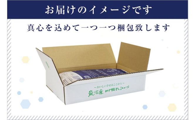 令和8年産米 先行予約 新米 極上魚沼産コシヒカリ 令和8年産米 5kg【定期便／6ヶ月】ゆきまち米＜令和8年10月下旬～順次発送＞