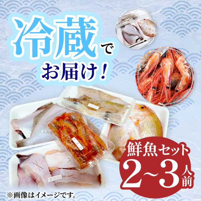 鮮魚 冷蔵 クール便「 開けたらすぐ食べられる下処理済み 海産物 2～3人前 セット 」さとう鮮魚店【 パック 詰め合わせ 海鮮セット 鮮魚ボックス 海鮮 海の幸 魚介 魚介類 刺身 切り身  秋田県 にかほ 】