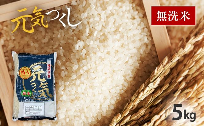 令和7年産　福岡県産ブランド米「元気つくし」無洗米　5kg