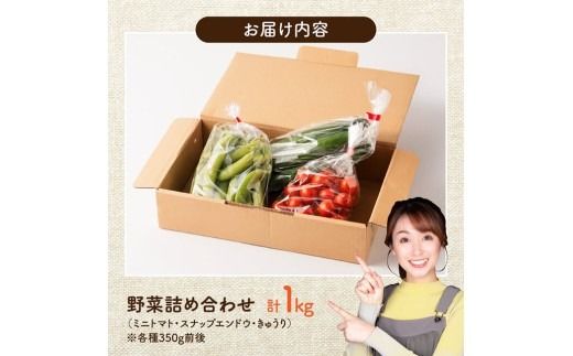宮崎県佐光農園産　野菜詰め合わせ（ミニトマト・スナップエンドウ・きゅうり）計1kg 【 ミニトマト スナップエンドウ きゅうり 野菜 詰め合わせ 】[C13001]