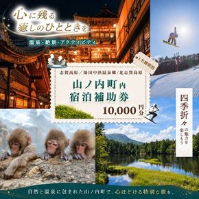 山ノ内町内宿泊補助券（2枚）1年間有効 10,000円分 旅行 宿泊券 ホテル 旅館 チケット 宿泊 補助券 志賀高原 湯田中渋温泉郷 北志賀高原 地獄谷野猿公苑 温泉 ギフト 自然 観光 長野県 信州 冬 スキー