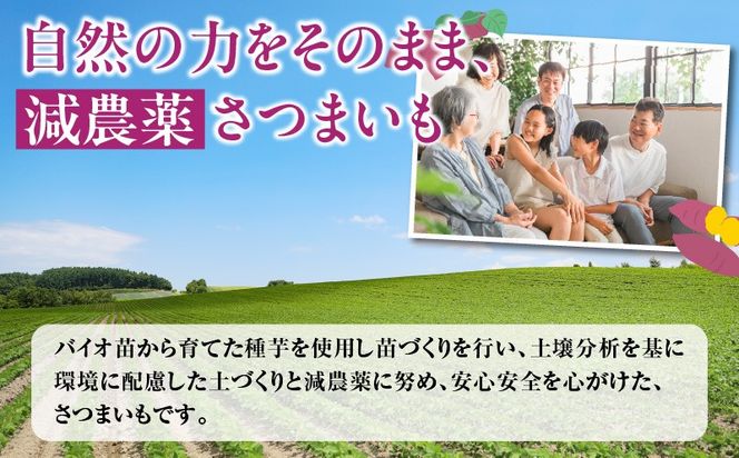 いも農家の極甘焼きいも（べにはるか冷凍 1.3kg）　K270-002