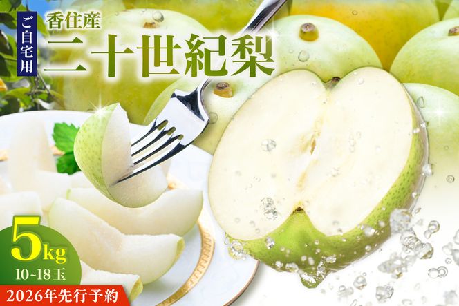 2026年産 先行予約【20世紀梨 ご自宅用 5kg サイズ L～5L混合（10～18玉）】8月下旬～9月中旬にかけて発送予定 ご自宅用  二十世紀梨 シャキシャキ 甘味 瑞々しさ 香住梨 フルーツ フルーツ先行予約 果物 なし ナシ 和梨 青梨 大人気 おすすめ ランキング 兵庫県 香美町 香住 JAたじま 12000円 12-20
