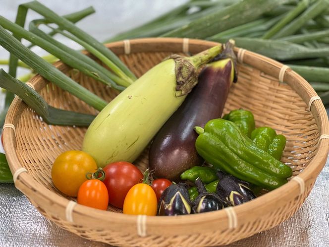 ネオコスモ農園で採れた小牧の野菜詰め合わせ［124N01］