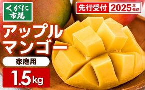 【先行受付】【2025年発送】くがに市場の産直アップルマンゴー約1.5kg【ご家庭用・白箱】