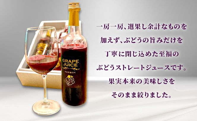 完熟スチューベン至福のぶどうジュース 1000ml × 2本セット　青森県 鶴田町産