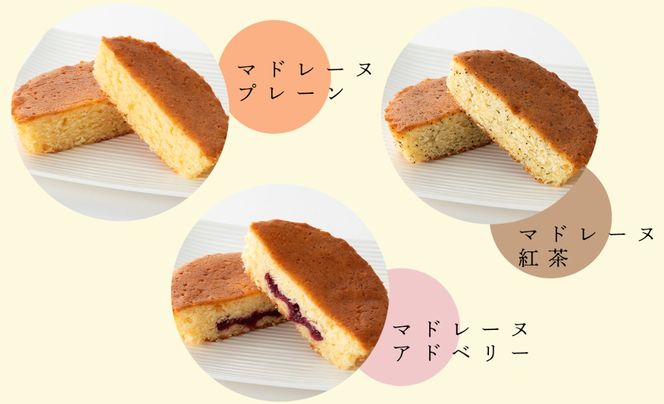 【H-492】淡海堂 マドレーヌセット ３種１０個入り［高島屋選定品］