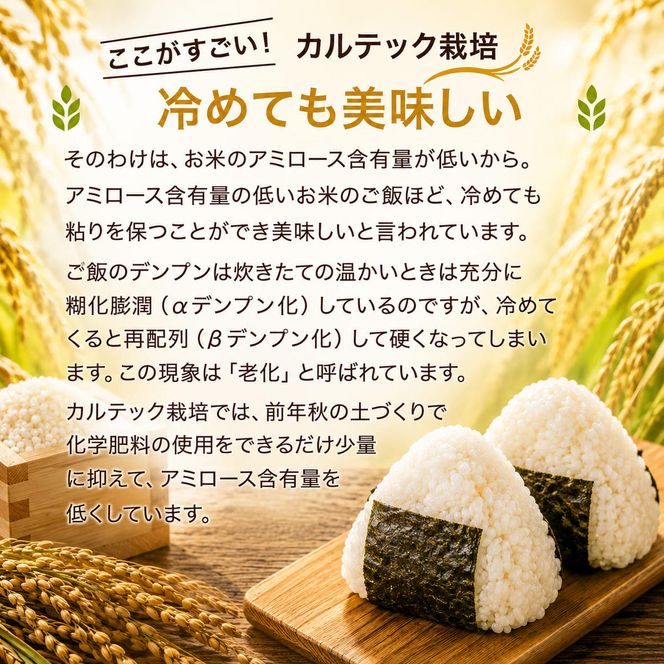 令和7年産 京都丹波産 コシヒカリ 10kg 西村ファーム 京ほたる米