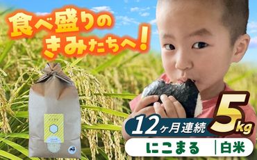 【12回定期便】にこまる　白米　5kg　お米　ご飯　愛西市／株式会社戸倉トラクター[AECS060]