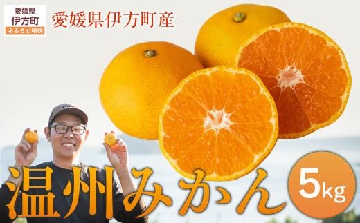 [先行予約][数量限定]温州みかん5kg(石崎農園)※離島への配送不可 (2025年11月25日より順次発送予定) IK