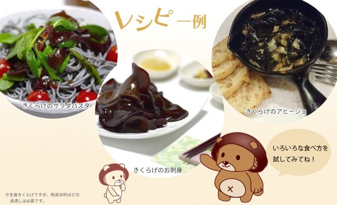 セラミック製 きのこ型ライト | MaitoParta