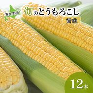 【2026年夏発送】  とうもろこし 富良野産 旬のとうもろこし(黄色) 12本入 北海道 富良野 ふらの コーン とうきび トウモロコシ 野菜 甘い