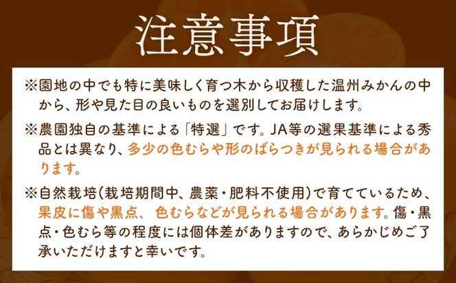 特選 温州みかん 選べる内容量 2kg 3kg 5kg 池田農園《11月上旬-12月末頃出荷》熊本県 玉名郡 玉東町 みかん ミカン 柑橘 フルーツ 果物 自然栽培 栽培期間中農薬・肥料不使用---gkt_ikd_4_2kg---
