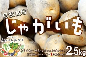 自然栽培じゃがいも 2.5kg 京都・京丹後産 自然栽培 旬野菜　じゃがいも 芋 いも 野菜 やさい 根菜 旬 京都 京丹後 自然栽培 農薬不使用　AB00009