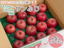 りんご 青森 サンふじ リンゴ 約 5kg (14～18玉) 青森県 鰺ヶ沢町産 ヒバリノ園 フルーツ 果物 果物類 白神山地 林檎 サンフジ ふじ ※オンライン決済のみ 