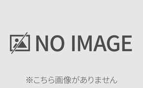 特製ザンギ 250g×20パック 計5kg 唐揚げ 鶏 鳥 肉 鶏肉 若鶏 国産 もも肉 モモ肉 鶏もも チキン 肉汁 ジューシー から揚げ ザンギ 冷凍 小分け おかず 総菜 お弁当 時短 簡単 便利 産地直送 お取り寄せ ご当地 グルメ プライフーズ 送料無料 北海道 伊達