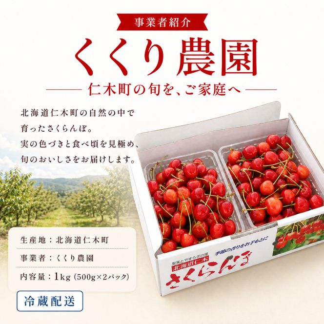 2027年発送 北海道 仁木町産 さくらんぼ 1kg (500g×2) 佐藤錦または紅秀峰 果樹 サクランボ チェリー フルーツ 果物 果物類 ギフト 仁木町 仁木 [くくり農園]