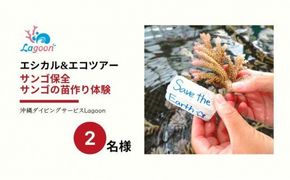 チケット サンゴ苗作り体験 ｜ 2名 or 1名×2株 沖縄サンゴの村【恩納村ラグーン】