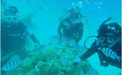 ボートで行く！ファンダイビング（10Dive）