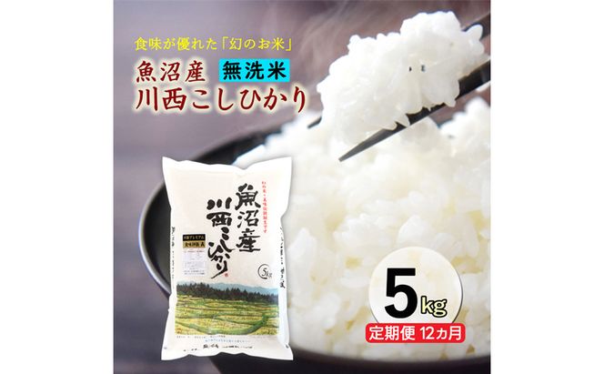 令和８年産米　先行予約【定期便／12ヶ月】　無洗米　魚沼産川西こしひかり5kg ＜令和8年10月下旬～発送予定＞
