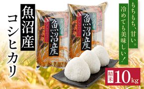 令和7年度産【十日町産】 魚沼産コシヒカリ10kg 米 お米 こしひかり 精米 新潟 