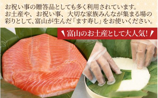 【定期便6回（隔月）】ご家庭用に！ 簡易包装 ます寿し【本州のみ発送】 ※発送前に在宅確認の電話連絡をいたします！