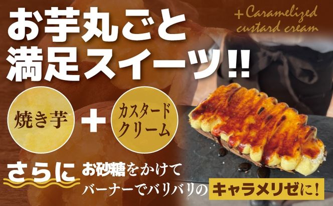 005A654 【特別規格】芋匠さのやのお芋スイーツ お芋ブリュレ 2個 お試し