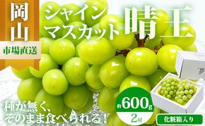 ぶどう 2026年 先行予約 シャイン マスカット 晴王 2房 （1房 600g以上） 化粧箱入り マスカット ブドウ 葡萄  岡山県産 国産 フルーツ 果物 ギフト 高級ぶどう 大粒 種なし 贈答品