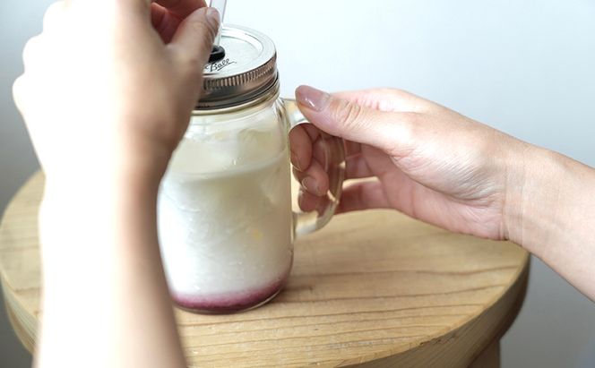 厚岸ハスカ 冷凍ハスカップ 2袋（750g×2 計1.5kg） アントシアニン スーパーフード 果実 ビタミン ミネラル 抗酸化作用 ポリフェノール 北海道産 