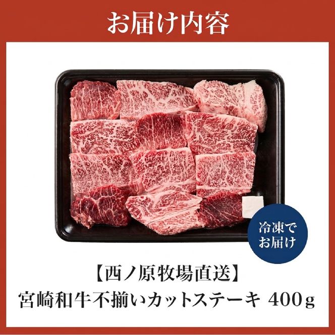 【生産者まかない用特別提供品】特別提供・宮崎和牛不揃いカットステーキ 500g（国産 牛肉 国産牛 和牛 黒毛和牛 赤身 不揃い ステーキ 焼肉）