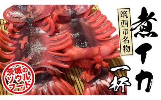 筑西市名物 煮イカ（一杯） いか 筑西 茨城 ソウルフード ご当地グルメ 名物 海鮮 魚介 冷凍 ［BW088ci］