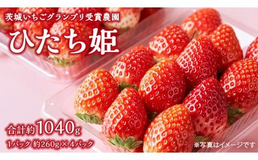 【 茨城いちごグランプリ 受賞 農園 】 完熟 ひたち姫 4パック 茨城県オリジナル品種 イチゴ 苺 フルーツ 果物 果実 [DY004ci]