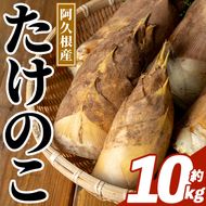 ＜先行予約受付中！2027年3月下旬以降順次発送予定＞  鹿児島県産 青果 たけのこ (約10kg) 国産 阿久根市産 野菜 たけのこ タケノコ 筍 旬 煮物 水煮 天ぷら つくだ煮 数量限定 期間限定 産地直送 【迫口大将】akn110-02