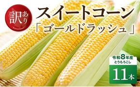 【訳あり】令和8年産とうもろこし　スイートコーン「ゴールドラッシュ」11本 【 新鮮 農家直送 トウモロコシ 産地直送 季節限定 期間限定 宮崎県産 九州産 】 [C09101]