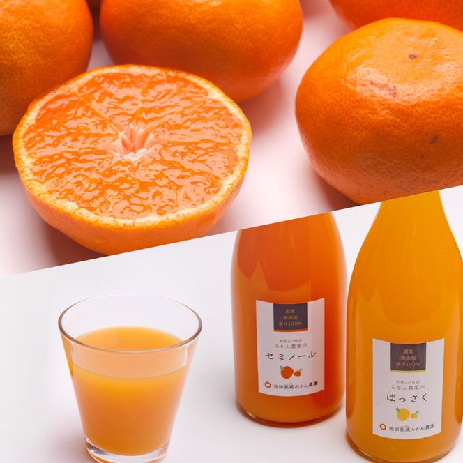 【定期便/毎月配送/全12回】厳選・和歌山の季節の柑橘3kg農家直送フルーツ定期便｜有田 みかん 蜜柑 オレンジ 八朔 せとか ポンカン セミノール
※北海道・沖縄・離島への配送不可