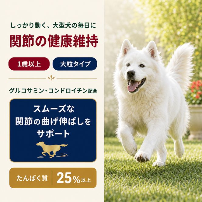 ビューティープロ ドッグ 大粒タイプ 1歳から 2.5kg ｘ4(ケース単位) ドッグフード