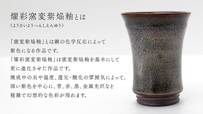 【燿彩窯変紫焔釉】ビアグラス （小野寺裕司 作） 径8.3cm×高さ11.2cm | ビール 焼酎杯 酒杯 陶器 陶芸 ギフト 贈答 [EW47-NT]