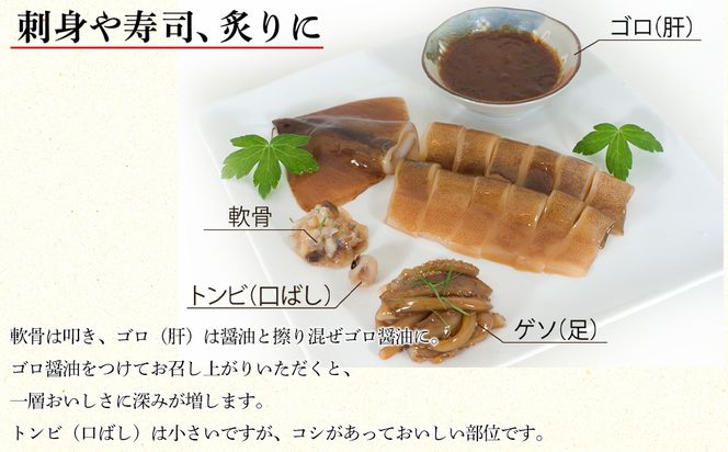 北海道産 イカの沖漬けピュア製法 計1.2kg 個包装 イカ いか 沖漬け おつまみ イカ いか 沖漬け おつまみ イカ いか 沖漬け おつまみ イカ いか 沖漬け おつまみ イカ いか おつまみ