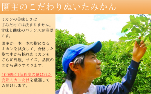 あま～い！ カツオの有機肥料が味の決め手！ 「きみの完熟ミカン」 約4.5kg (40~60個程度) サイズ混合 2S~M ご家庭用(秀優混合)/みかん ミカン 柑橘 和歌山県 有機 手選別 【kmf001】