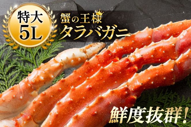 【CF02】本 タラバガニ 脚 ボイル済 約1kg 極太5Lサイズ [カネダイ 宮城県 気仙沼市 20564323_CF02] カニ かに 蟹 たらばがに たらば蟹 タラバ蟹 たらば タラバ ボイル