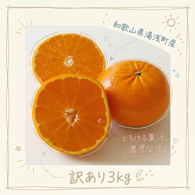 【2027年先行予約】《訳あり 家庭用》麗紅 約3kg（S～2Lサイズ混合）_EQ6003
