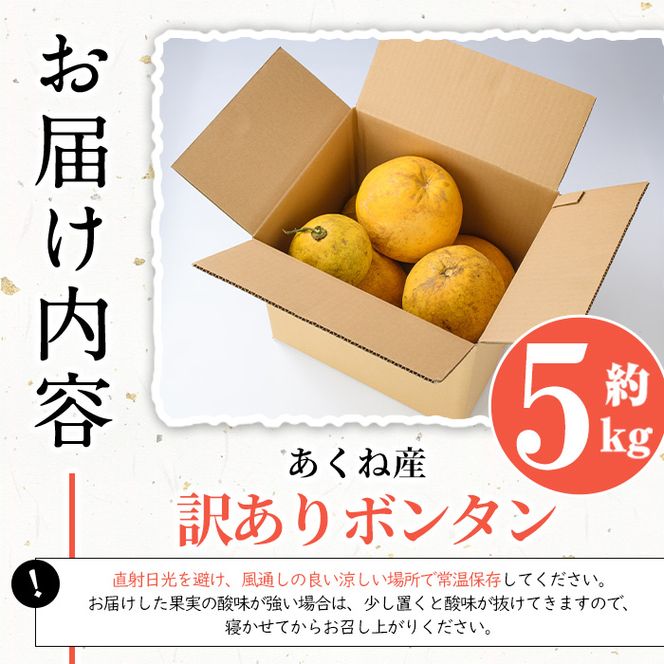 ＜先行予約受付中！2027年1月上旬以降順次発送予定＞訳あり！竹ん子山のボンタン(約5kg) 国産 鹿児島県産 阿久根産 柑橘 果物 フルーツ ぼんたん 文旦 訳アリ 果実 期間限定 数量限定 【竹ん子山】akn097-15