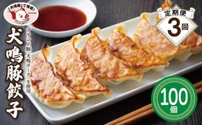 099Z556 【泉佐野ブランド豚】犬鳴豚餃子 100個×3回【国産 豚肉 ぶたにく 定期便 犬鳴ポーク 焼くだけ 人気 総菜 冷凍】