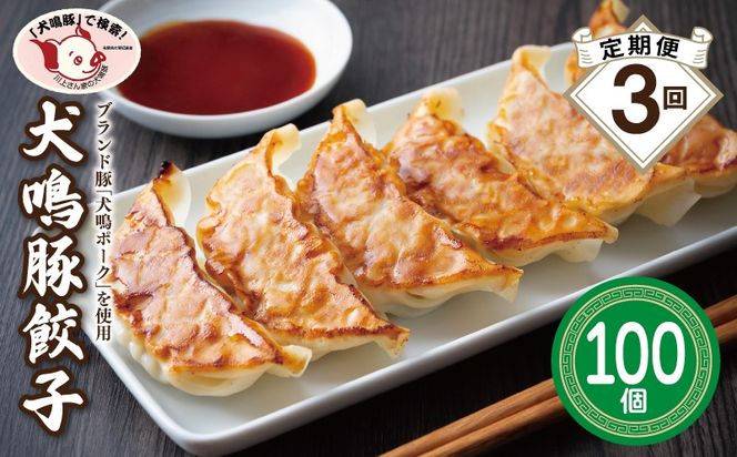 099Z556 【泉佐野ブランド豚】犬鳴豚餃子 100個×3回【国産 豚肉 ぶたにく 定期便 犬鳴ポーク 焼くだけ 人気 総菜 冷凍】