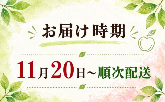りんご サンふじ 青森県産 約 5kg (12～18玉） フルーツ 果物 ふじ 産地直送 お取り寄せ 送料無料 青森県 鰺ヶ沢町 《木村りんご園》