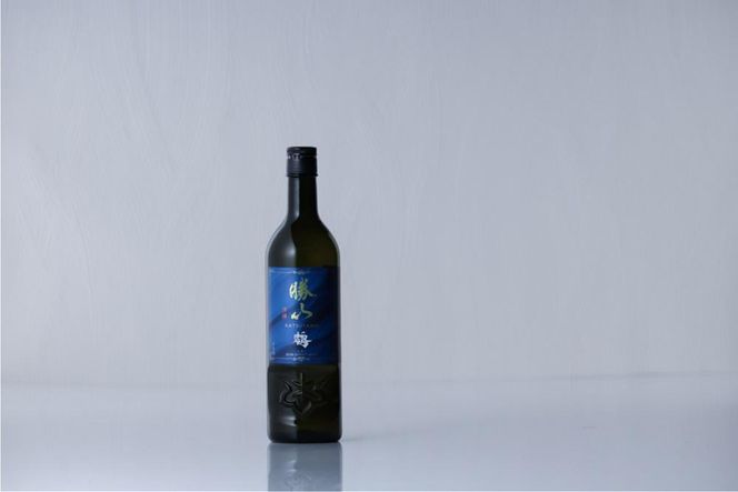 勝山 純米吟醸 鴒（れい）　【 お酒 日本酒 晩酌 バレンタイン 父の日 旨味成分 上品な香り 甘くふくよか 肉料理に合う デザートに合う 】 041009_AE007