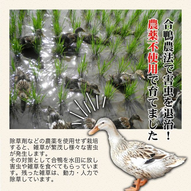 y֒򒬁zyߘa7NYāzyVāz_sgpRVqJ _@@10kg(ʍ͔|āAFÔ֒Rāj