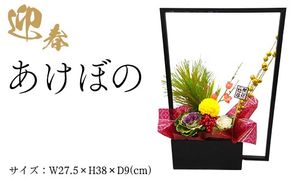 迎春　あけぼの ※2025年12月中旬～12月下旬頃に順次発送予定